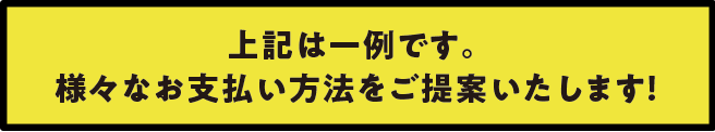 上記は一例です。様々なお支払い方法をご提案いたします！