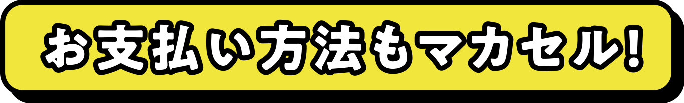 お支払い方法もマカセル!