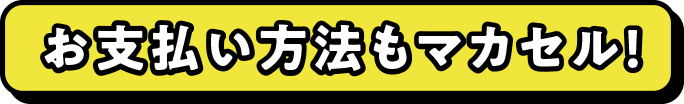 お支払い方法もマカセル!