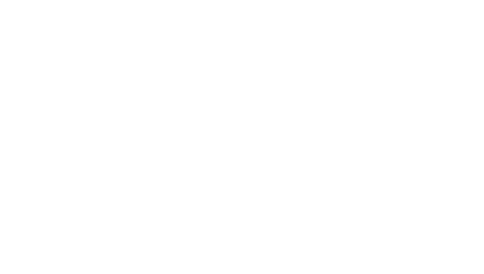 VISION